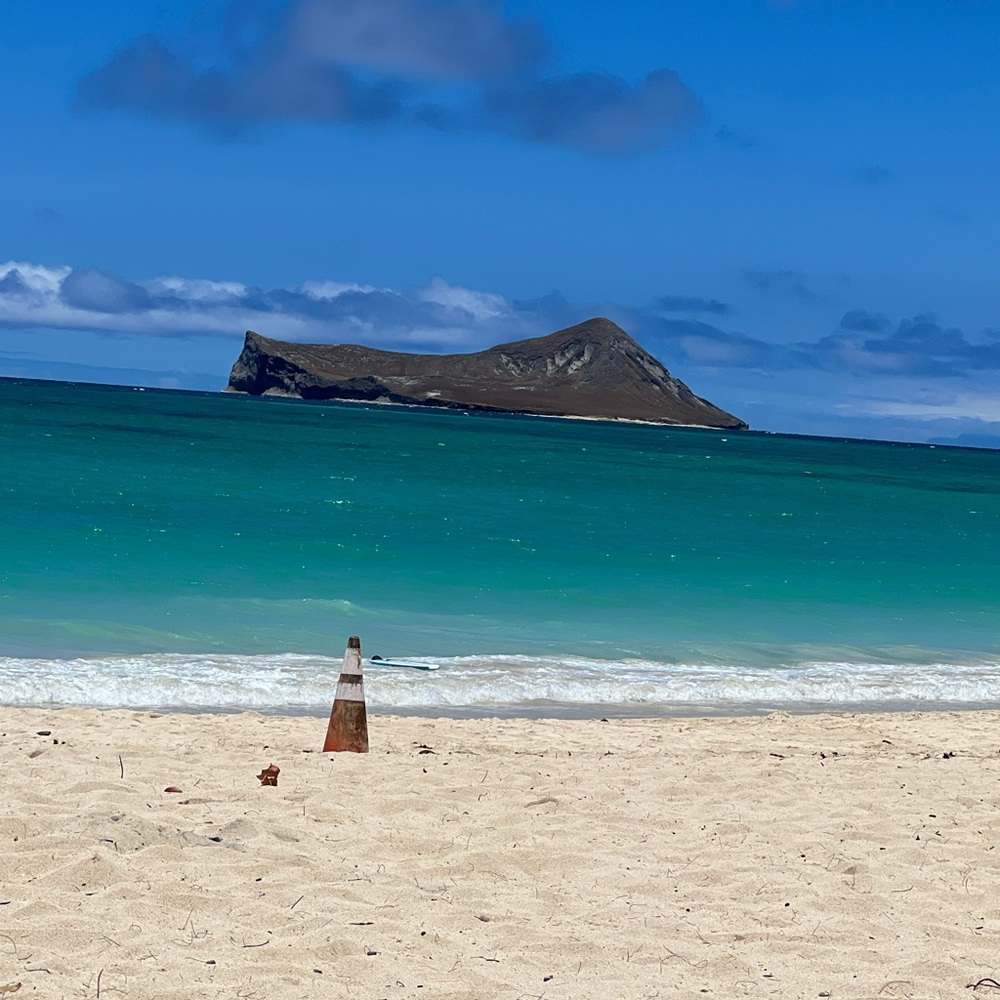 Meet your Posher, Shayla